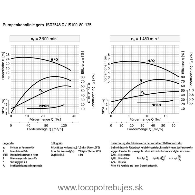 Priemyselné rotačné čerpadlo bez hnacieho motora WPI-IS100-80-125, ROTEK - PUM269