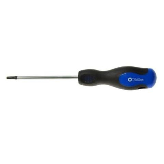 Skrutkovač torx T20x100 mm - GEKO G32024
