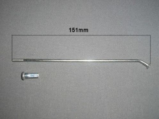 Špice - 4136