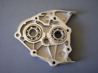 Veko prevodovky Kazuma 250ccm (1567)